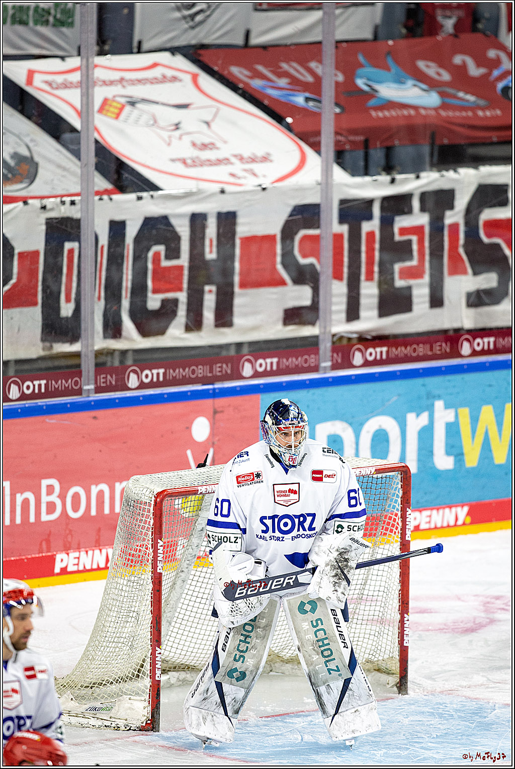 PENNY DEL;  Koelner Haie - Schwenninger Wild Wings; Koeln, 21.03.2021